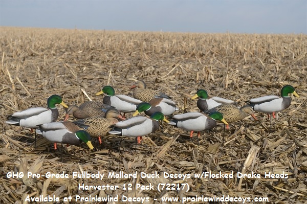 AVERY Over-Size Mallard Shells-Harvester Pack /70167 AVERY Over-Size Mallard Shells-Harvester Pack /70167
