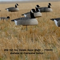 Picture for category Canada Goose Shells
