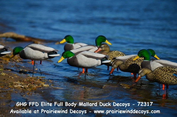 NRA FUD decoys 6 Pack Mallard Replier Hunting Decoy Canard Terre//Eau