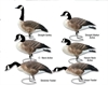 Picture of **FREE SHIPPING** Commercial Grade Full Body Honker Decoys by Greenhead Gear
