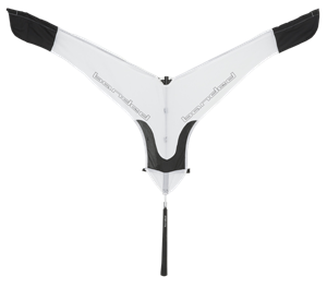 Picture of  Snow Goose Flag (B9598) by Banded Gear