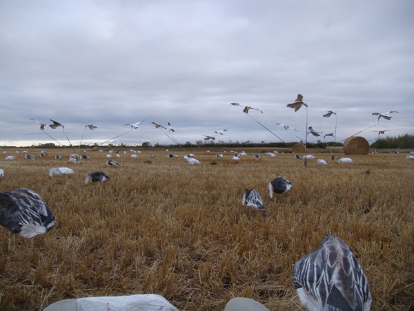 prairiewind decoys flocksox blue goose flapping flyer 1296ff by sillosock snow goose flapping flyer