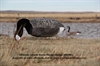 Picture of **SALE** Canada Goose Windsock Feeder Decoys by Sillosock Decoys