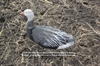 Picture of *SALE* Blue Goose Harvester 12pk  by Sillosock Decoys