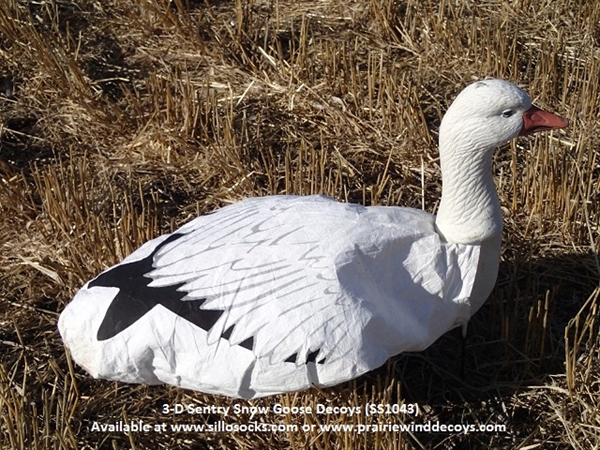 Prairiewind Decoys. *SALE* 3-D Sentry Snow Goose Decoys by Sillosock Decoys