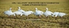 Picture of *FREE SHIPPING* ALL SNOW Harvester 12 pack by Greenhead Gear GHG
