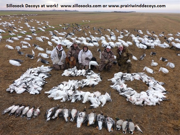 Prairiewind Decoys. **SALE** 2-D Sentry Snow Goose Windsock Decoys by