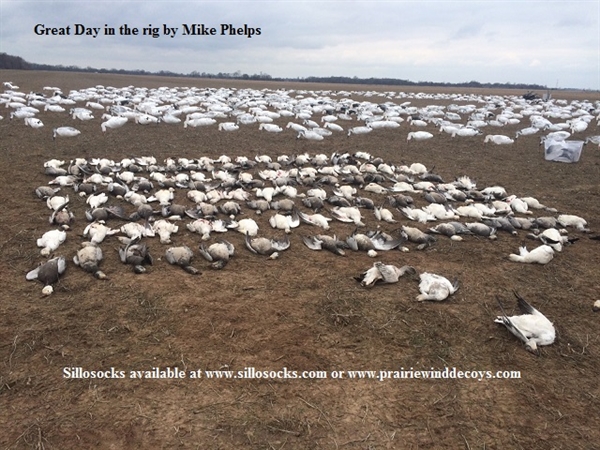 Prairiewind Decoys. **SALE** 2-D Sentry Snow Goose Windsock Decoys by