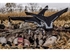 Picture of **SALE** Canada Goose Flag w/Max5 Backing (B9596) by Banded Gear