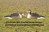 Picture of **SALE** Pro-Grade Greylag Goose Shells 1 dz. (AV72401) by Greenhead Gear GHG Avery Outdoors