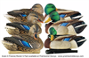Picture of Top Flight Preener/Rester Mallard Duck Decoys 6pk (Z8072) by Avian X Decoys Zink Calls