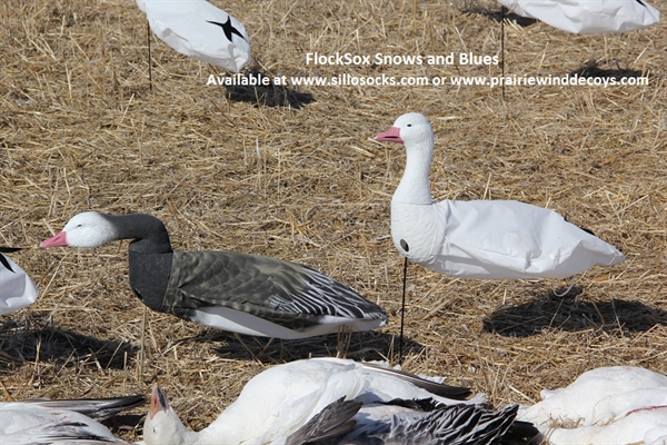 Goose Decoys For Sale >> Prairiewind Decoys Sale Flocksox Snow Goose Decoys Harvester Goose Decoys For Sale >> Prairiewind Decoys Sale Flocksox Snow Goose Decoys Harvester