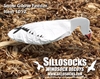 Picture of  **SALE** Snow Goose Decoys by Sillosock Decoys