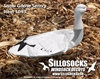Picture of *SALE* 3-D Sentry Snow Goose Decoys by Sillosock Decoys