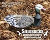 Picture of *SALE* 3-D Sentry Blue Goose Decoys by Sillosock Decoys