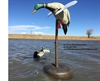 Picture of ***FREE SHIPPING***Spinning Wing  Decoy Buoy by Banded Gear