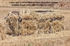 Picture of **SALE**  The "Blind Spot" A-Frame Blind by Higdon Outdoors