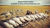 Picture of Honker Power Feeders by Pacific Wings