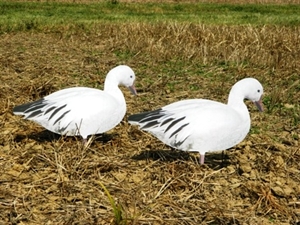 Prairiewind Decoys. Snow Goose Silhouette Decoys by Big Als Decoys