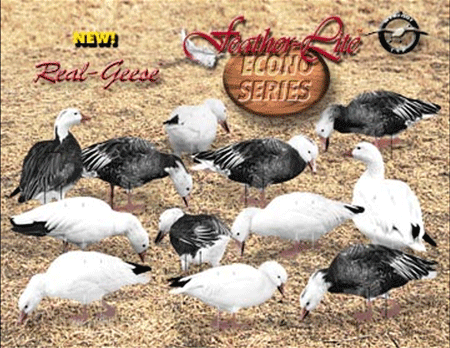 Prairiewind Decoys. **FREE SHIPPING** Econo Blue Goose Silhouette