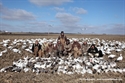 Picture for category SNOW GOOSE BLINDS