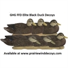 Picture of **SALE** Pro-Grade FFD Elite Black Duck Decoys 6pk by Greenhead Gear GHG Avery Outdoors