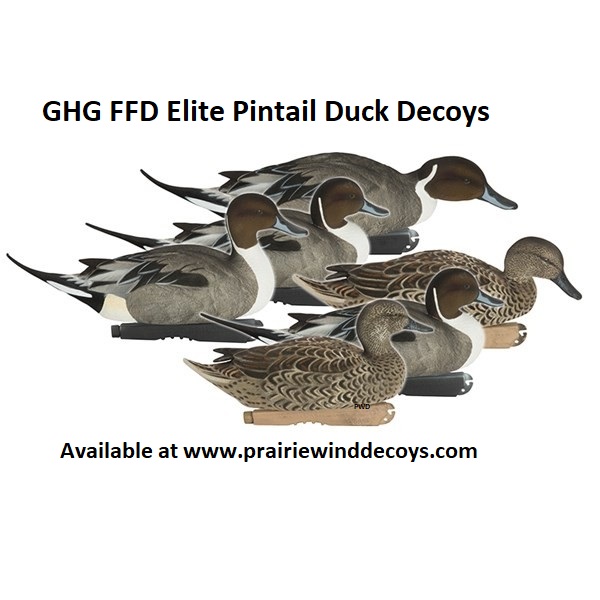 Prairiewind Decoys. **SALE** ProGrade FFD Elite Pintail Duck Decoys