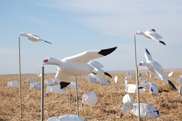 prairiewind decoys sale fully flocked snow goose feather flyers feather flyers decoys for sale