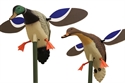 Picture for manufacturer Mojo Outdoors