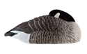 Picture for category Honker Shells