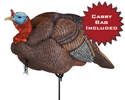 Picture for category Dakota Turkeys