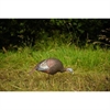 Picture of **FREE SHIPPING** Feeding Hen Turkey-Eastern by Greenhead Gear GHG