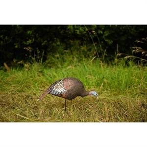 Picture of **FREE SHIPPING** Feeding Hen Turkey-Eastern by Greenhead Gear GHG