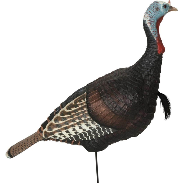 Prairiewind Decoys. **FREE SHIPPING** Jake Turkey Decoy Eastern by