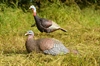 Picture of **FREE SHIPPING** Laydown Hen/Jake Combo Turkey Decoys - Merriam by Greenhead Gear GHG