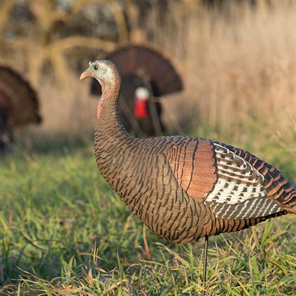 Prairiewind Decoys. **FREE SHIPPING** Upright Hen TurkeyRio Grande by