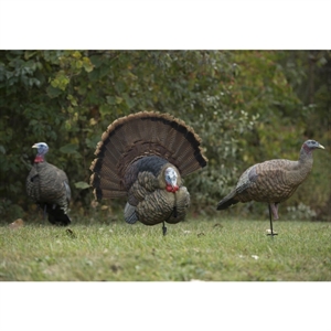 Picture of  Trophy Tom Taxidermy Turkey Decoy  by Avian-X Decoys
