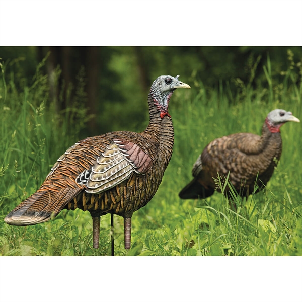 Prairiewind Decoys. LCD Lookout Hen Turkey Decoy by AvianX Decoys