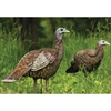 Picture of LCD Lookout Hen Turkey Decoy by Avian-X Decoys