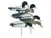 Picture of **FREE SHIPPING** Magnum Full Form Mallard Shells, Variety Pk, Flocked Heads 6pk by Higdon Decoys