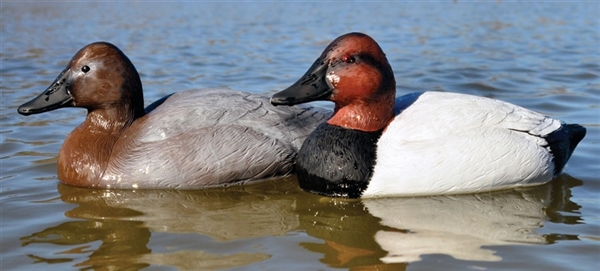 Higdon Foam Filled Floating Standard Canvasback Decoys 6 Pack 
