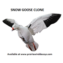 Picture of CDSnow-Single - 56025