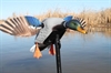 Picture of **FREE SHIPPING** ELITE SERIES MINI MALLARD w/ Remote BY MOJO OUTDOOR