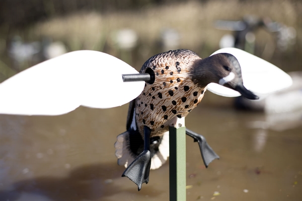 NEW Mojo Outdoors Teal Duck Decoy FREE SHIPPING 