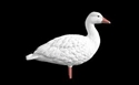Picture for category Snow Goose Decoy