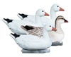 Picture of **FREE SHIPPING** Snow Goose Floater 4pk by Higdon Outdoors