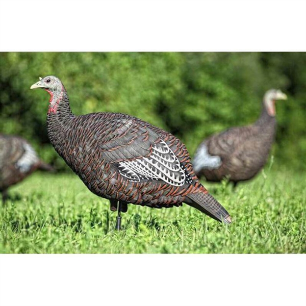 Prairiewind Decoys. **FREE SHIPPING** LCD Breeder Turkey Hen Decoy by