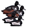 Picture of **FREE SHIPPING** Standard Ringneck Duck Decoys 6pk by Higdon Decoys