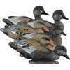 Picture of **FREE SHIPPING** Standard Gadwall Duck Decoys 6pk by Higdon Decoys