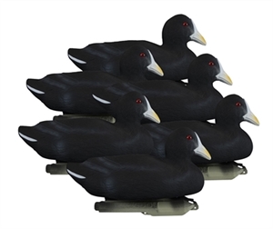 Picture of **FREE SHIPPING** Standard Coot Duck Decoys by Higdon Outdoors